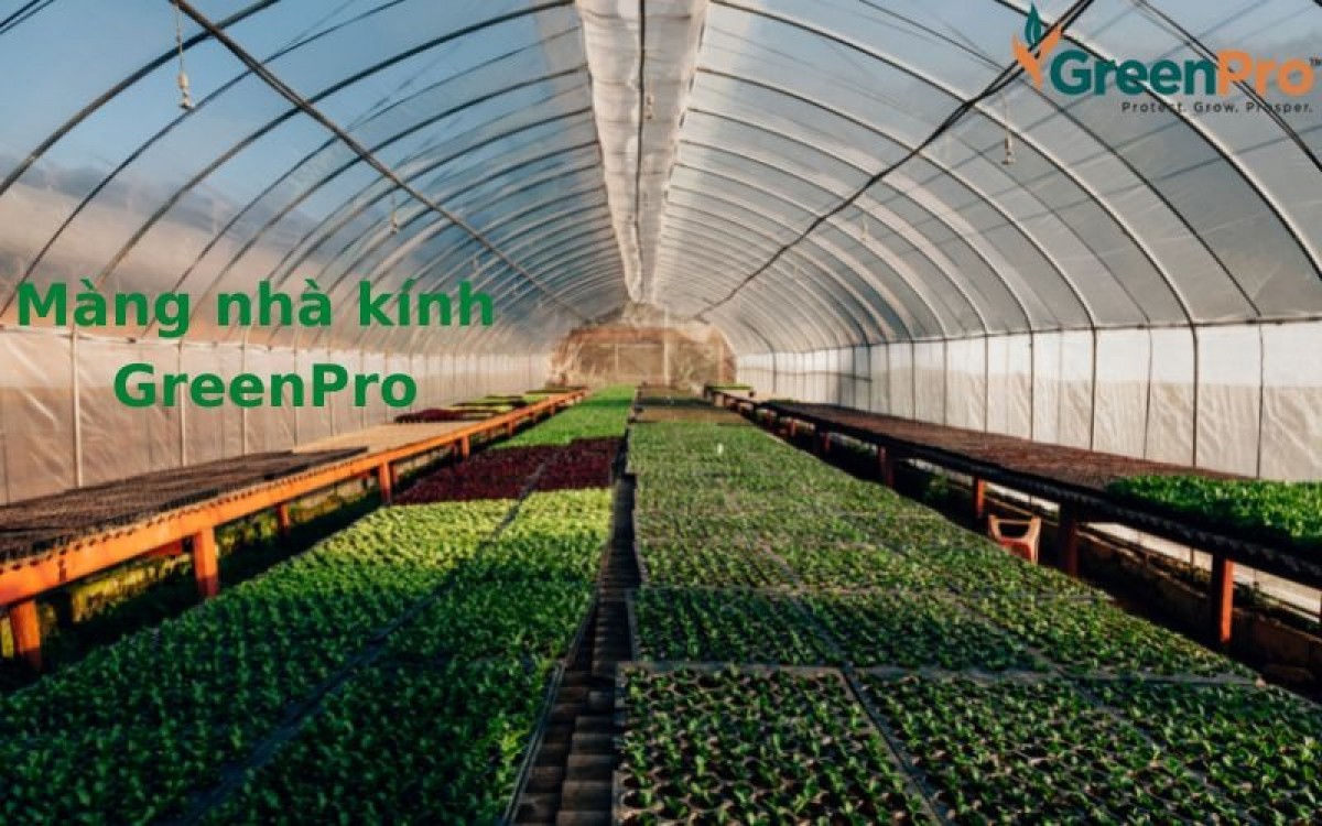 Màng nhà kính GreenPro – sản phẩm của nền nông nghiệp hiện đại. Màng nhà kính GreenPro – sản phẩm của nền nông nghiệp hiện đại.